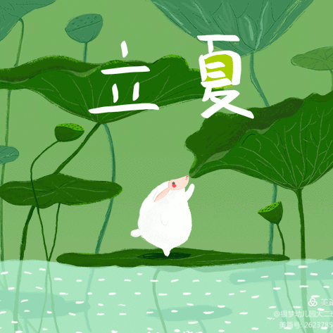 立夏🍉立夏🪷