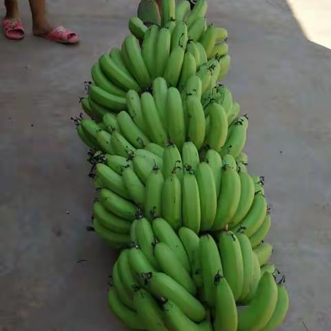 2017年中秋回娘家