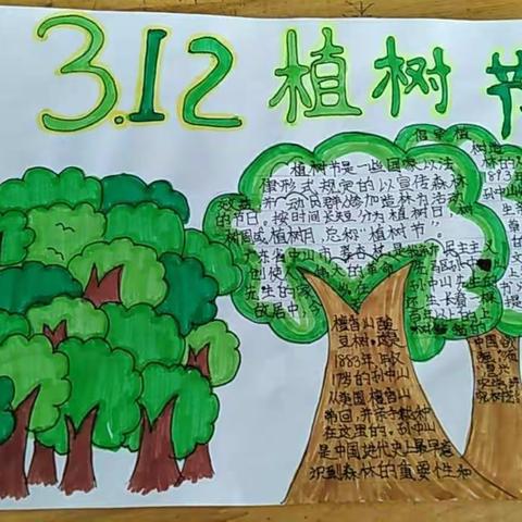 徐家集小学502班植树节手抄报活动