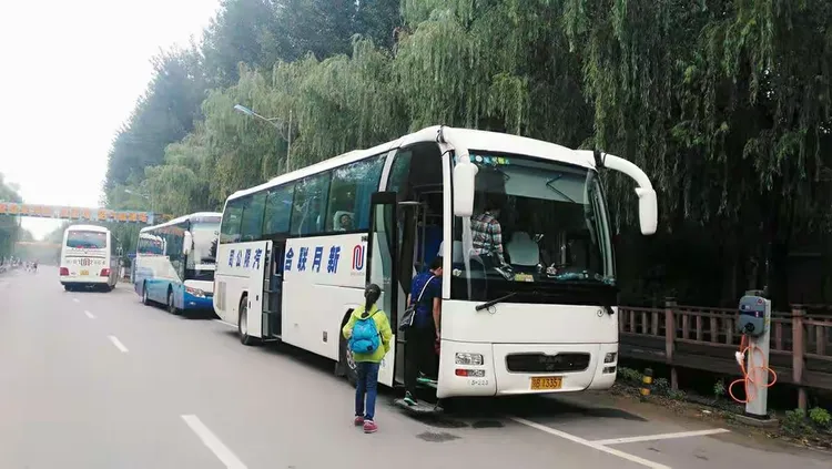 西藏导游女司机招聘网站_西藏导游女司机招聘网站最新