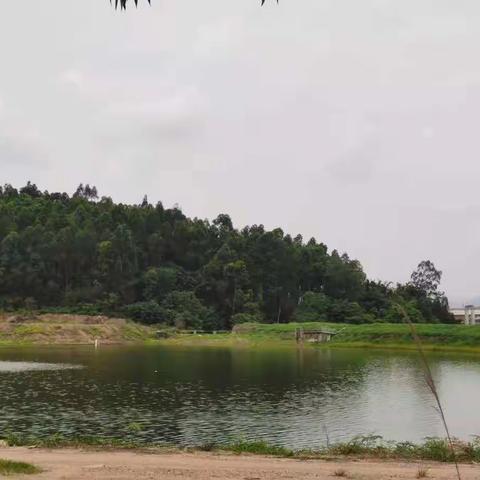 赤坭镇河长办6月9日工作简报