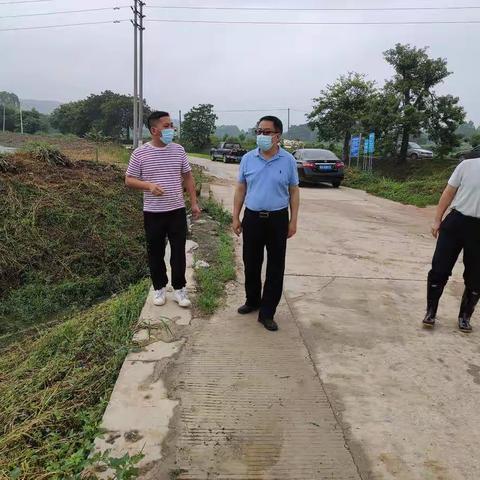 赤坭镇河长办6月2日工作简报