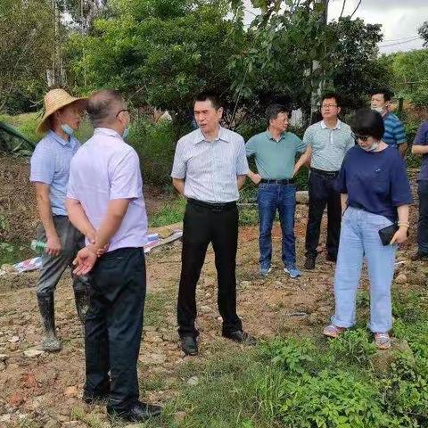 赤坭镇河长办6月13日工作简报