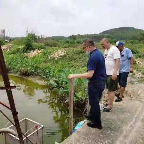 赤坭镇河长办5月31日工作简报