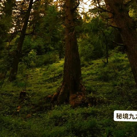 川西——秘境九龙