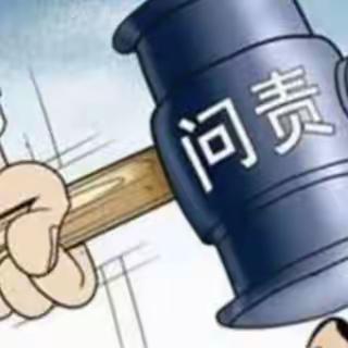 教育督导问责办法