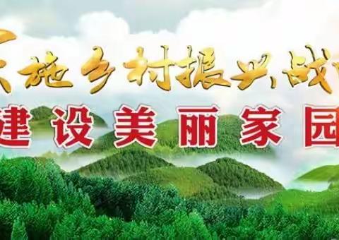 连心为民    振兴有我