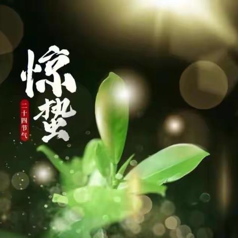 “微雨众卉新，一雷惊蛰始” ——药惠中心幼儿园“惊蛰”节气主题活动