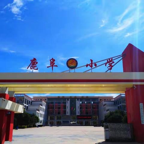 石林县鹿阜小学《“双减”下利用画图策略培养小学四五年级 数学问题解决能力的研究》复习教学研讨