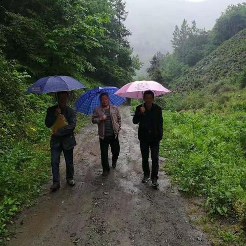 腾空在雨中