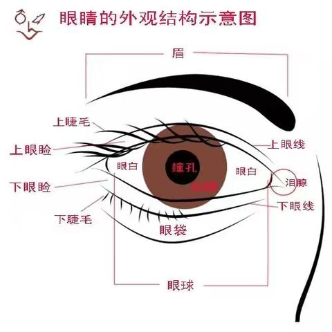 黄寺园线上健康课堂——疫情期间，怎样护眼呢？”