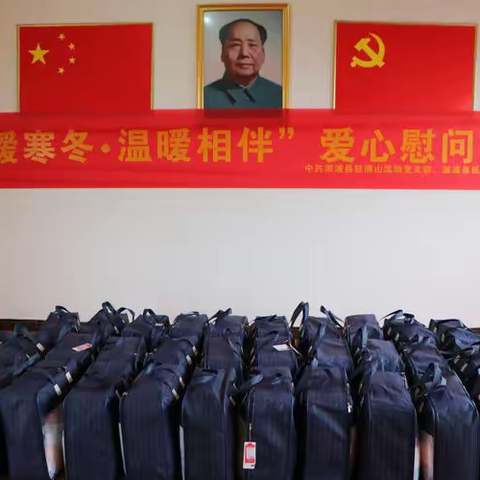 千里送温暖 真情暖人心丨溆浦驻佛山商会流动党支部慰问特困老人和困难群众