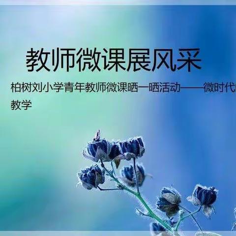 “微时代”教学—— 龙湖镇柏树刘小学教师微课比赛