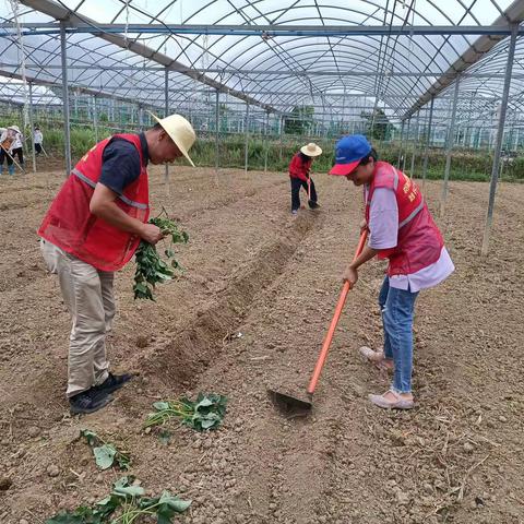 市热科院开展庆五一劳动节基层服务技能训练主题党日活动
