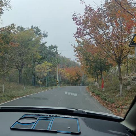 山行