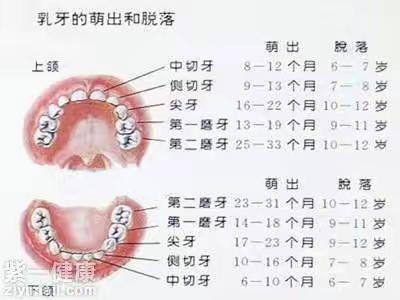 人生第一颗乳牙掉了