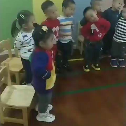 🌸童之翼幼儿园🌸快乐的一周