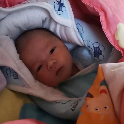 美篇用户的美篇