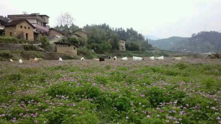 新阳——原生态、纯天然美丽乡村