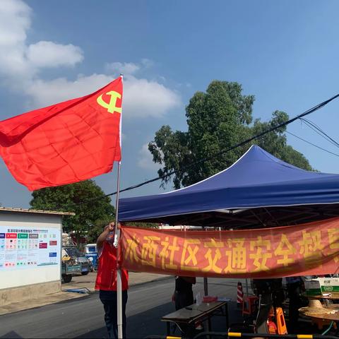 党旗引领 我当先锋 我先上——记长岭街道水西社区核酸检测的点滴