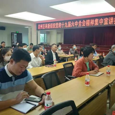 崖州区两新组织党的十九届六中全会精神集中宣讲报告会