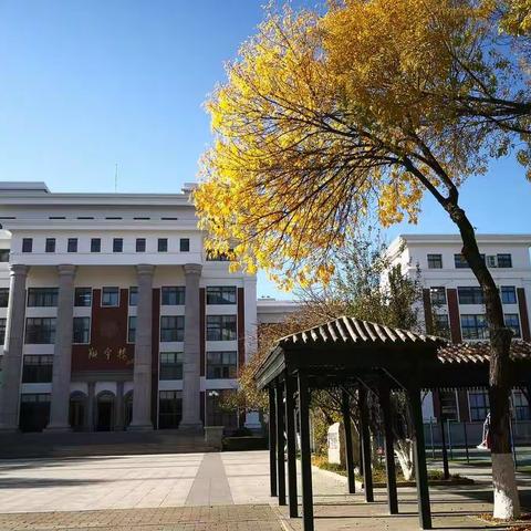 醉在南开的秋天里