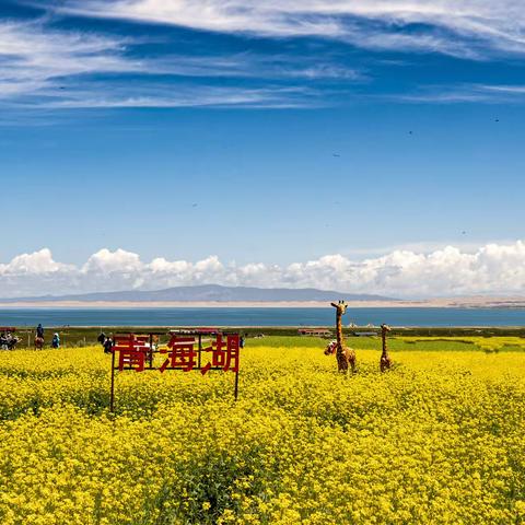 西行漫记——青海游
