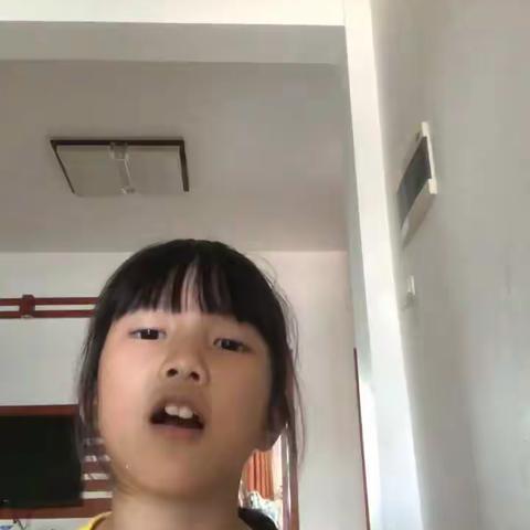 灯光障碍训练场