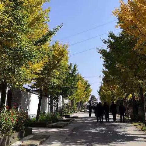 我省派员参加“全国农村户厕建设技术指导培训班”