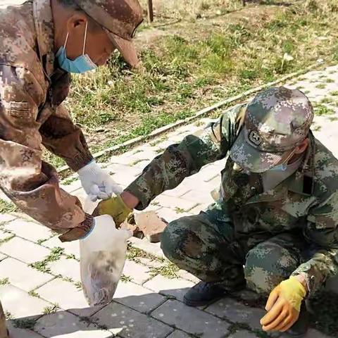 十七站森林资源管护区开展“烟头清捡防隐患 卫生防火广宣传”专项治理活动