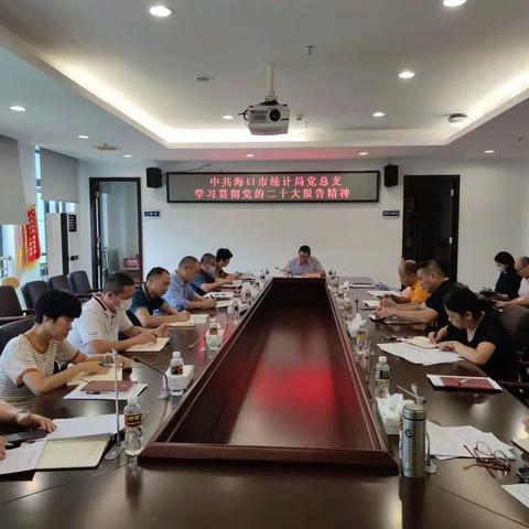 海口市统计局党总支学习贯彻党的二十大精神
