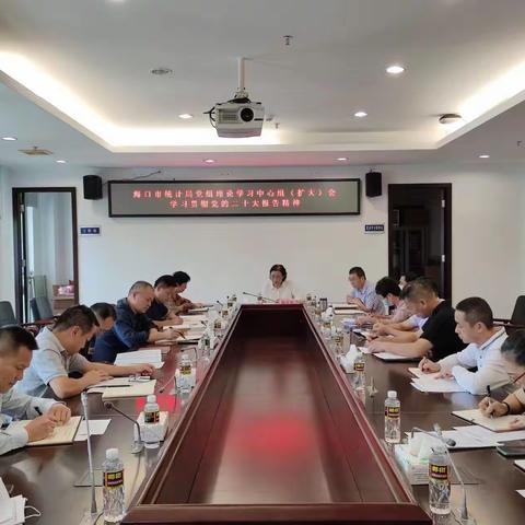 海口市统计局党组理论学习中心组专题学习党的二十大报告精神