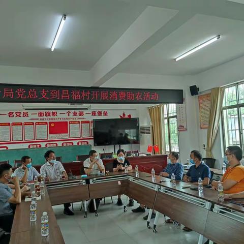 海口市统计局党总支到昌福村开展消费助农活动