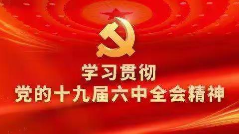 陶唐小学党支部学习贯彻党的十九届六中全会精神