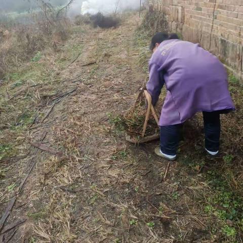 南丰县桑田镇持续推进环境整治月行动