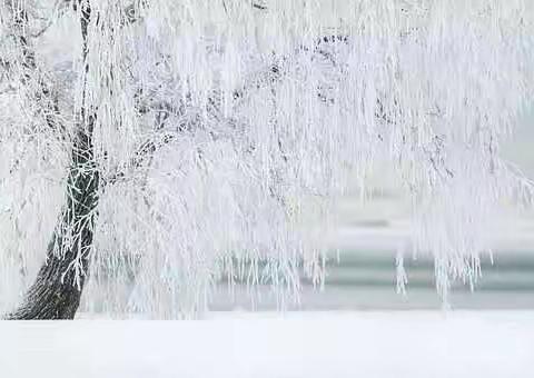我的别样情人节 文：梦如雪起