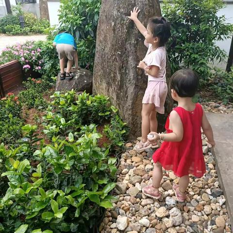 翰林镇爱心幼儿园“停课不停学简报”学前教育线上指导简报（第九周）
