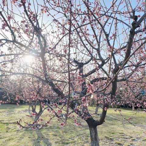 青州市高柳中心幼儿园“疫情防控，停课不停学”果果🍎班线上指导活动第三周