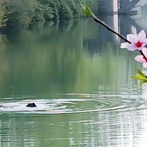 春风春色暖人间