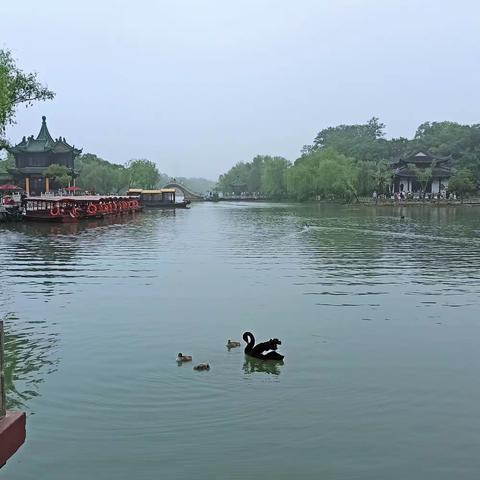 潇潇雨歇扬州行
