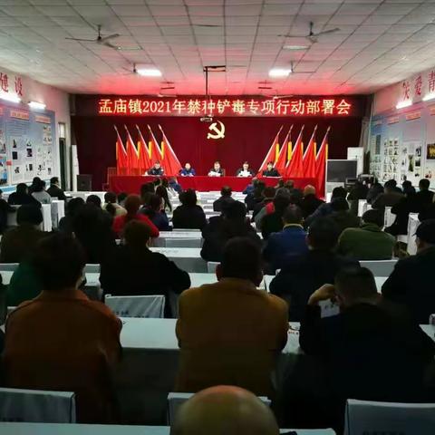 孟庙镇2021年开展禁种铲毒简报