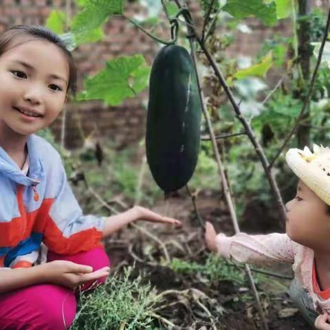 小四班——国庆假期线上篇大放送