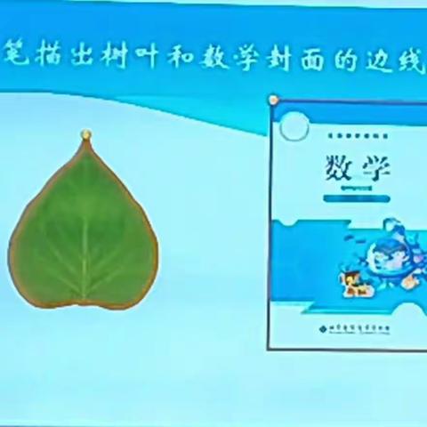 实践中学习，探索周长—记亳州市第一小学数学教研组公开课活动