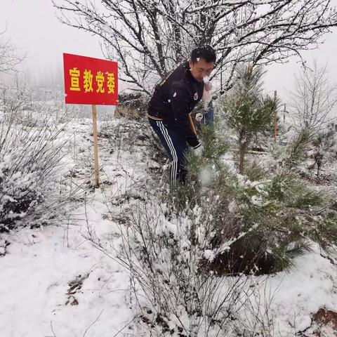 学党史  悟思想  植树造林践初心