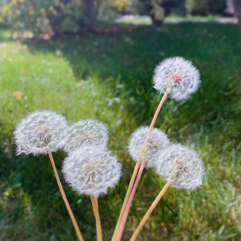 【满意官桥】以学促思   以研促教  ——官桥中学艺体教研活动