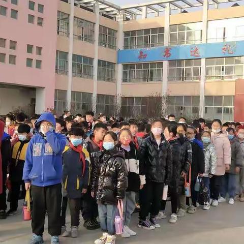 在实践中成长——官桥镇中心小学西岗苗圃研学游记