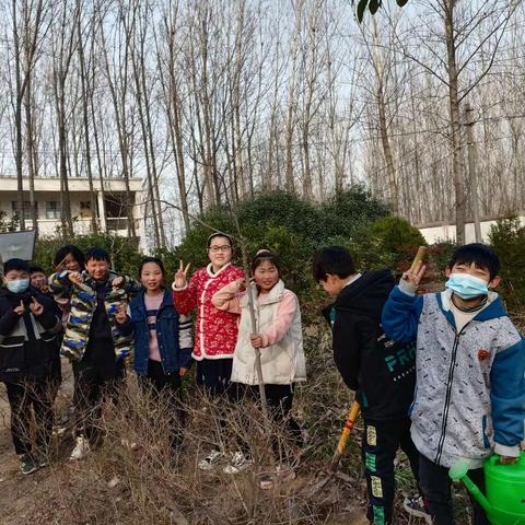 植一棵小树，种一个梦想一一一东范庄小学护苗行动，从我开始