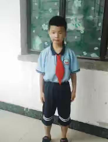 向阳小学一五班王子诚的暑假作业