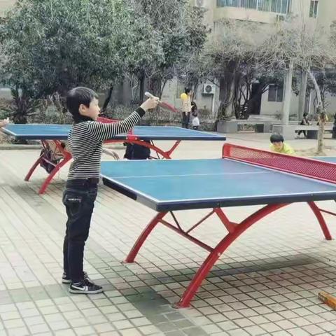 贺一的快乐寒假生活