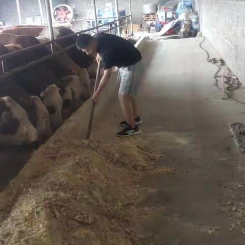 21机电1班感恩孝亲活动